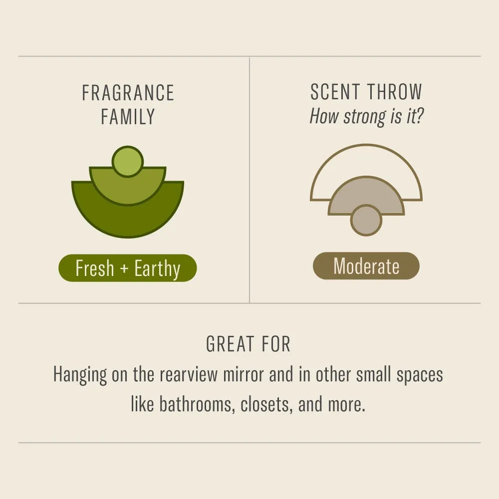 Amber & Moss Car Fragrance