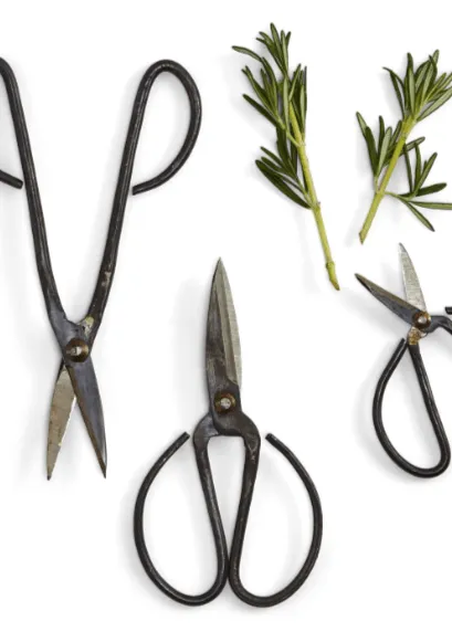 Forged Iron Garden Shears