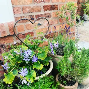 Garden Heart Stake - 3 sizes