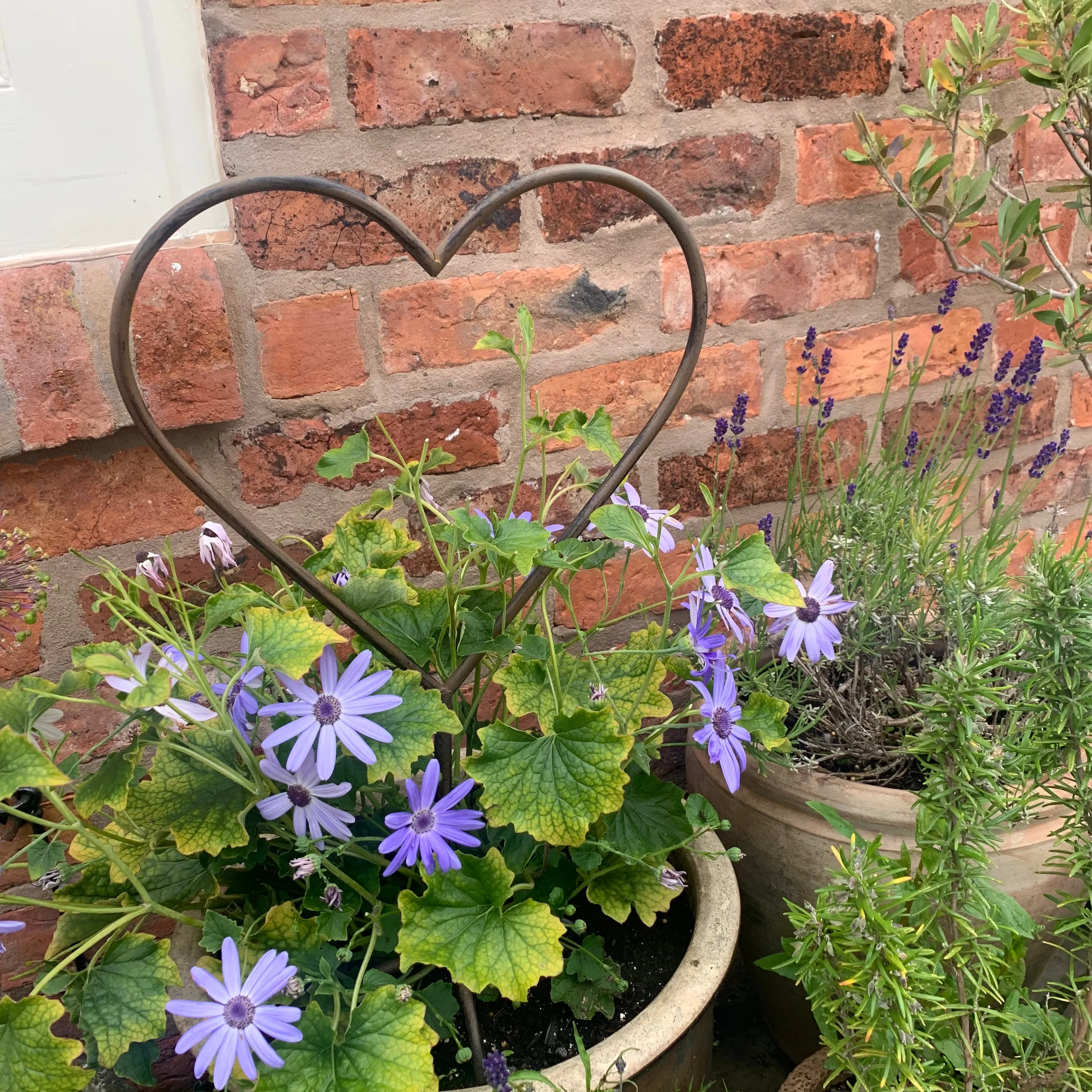 Garden Heart Stake - 3 sizes