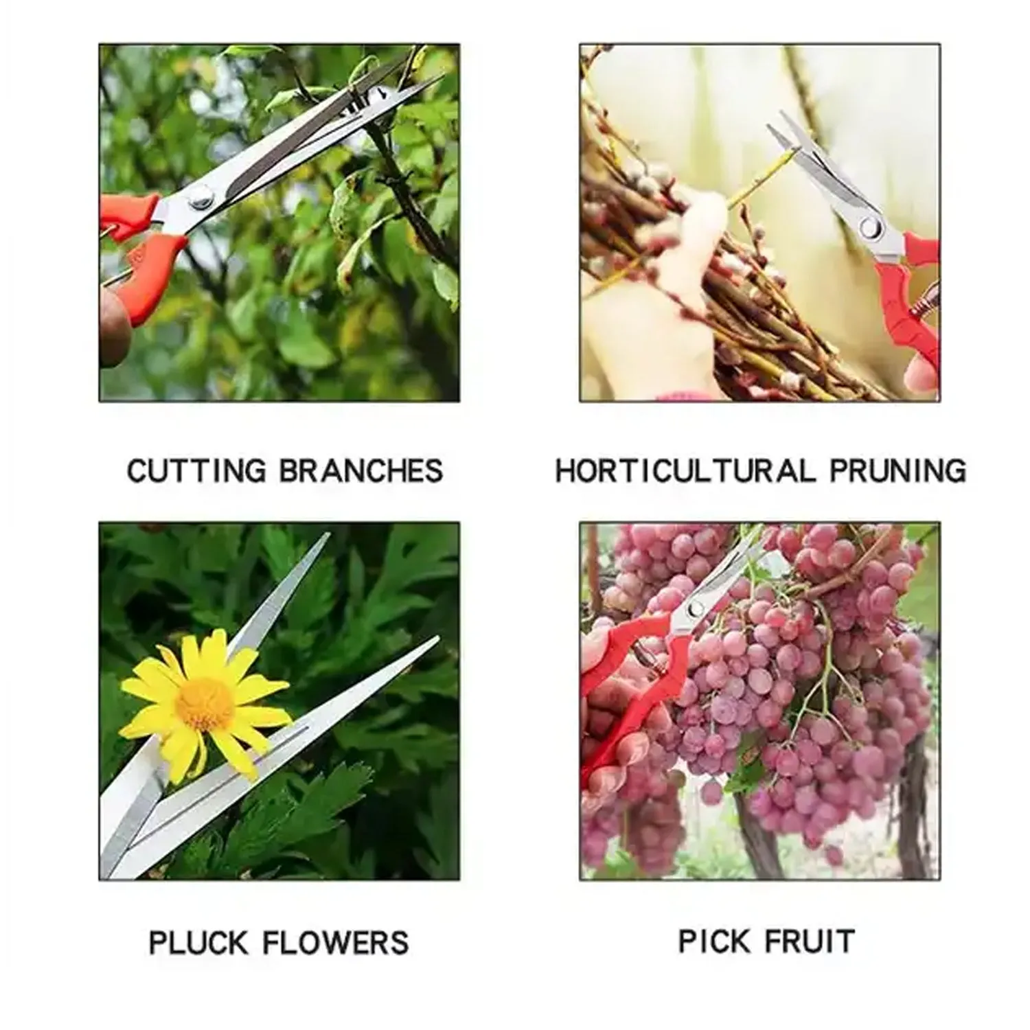 Heavy Duty Stainless Steel Cutter, Nonslip Trimming Scissors Durable Not Easy To Wear for Gardening Pruning Of Fruit Trees Flowers and Plants (With Plastic Packing)