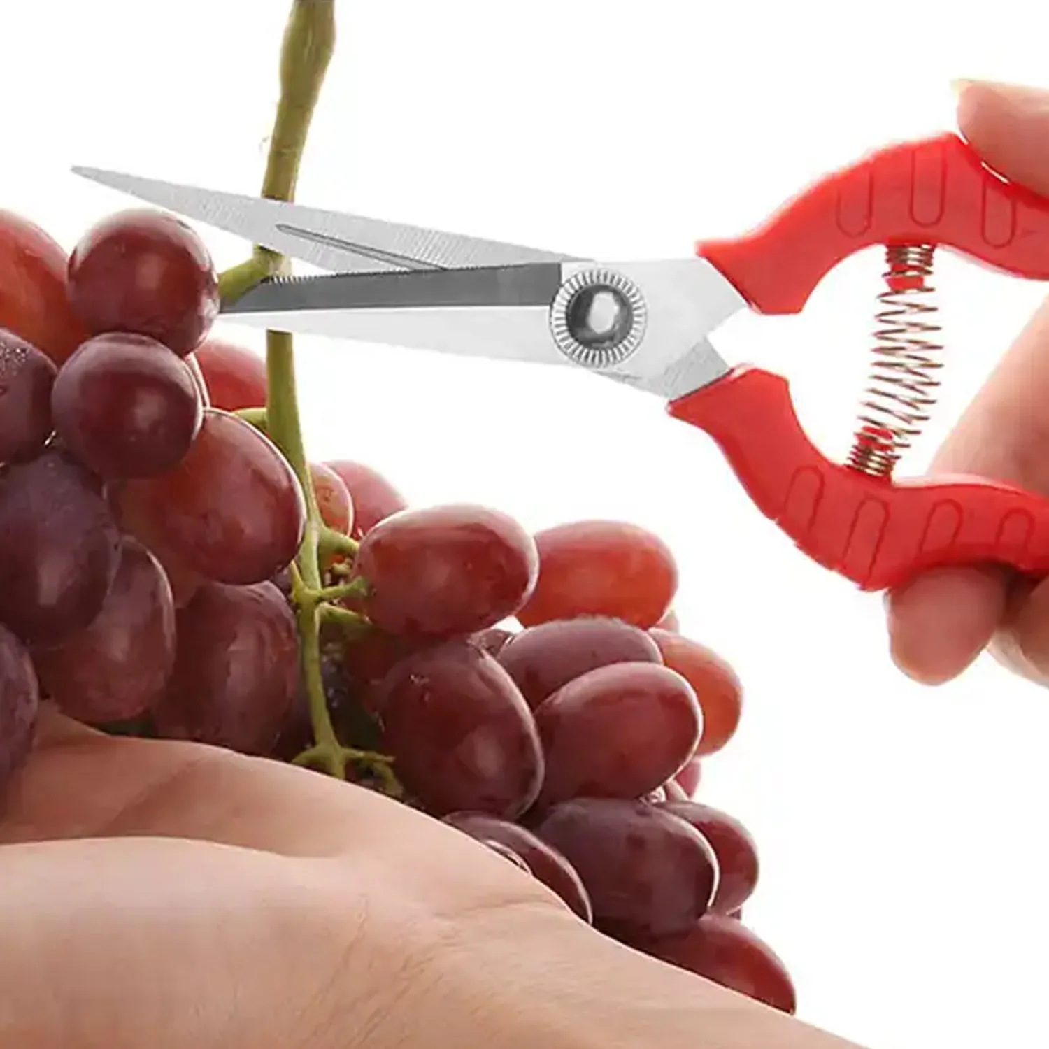 Heavy Duty Stainless Steel Cutter, Nonslip Trimming Scissors Durable Not Easy To Wear for Gardening Pruning Of Fruit Trees Flowers and Plants (With Plastic Packing)