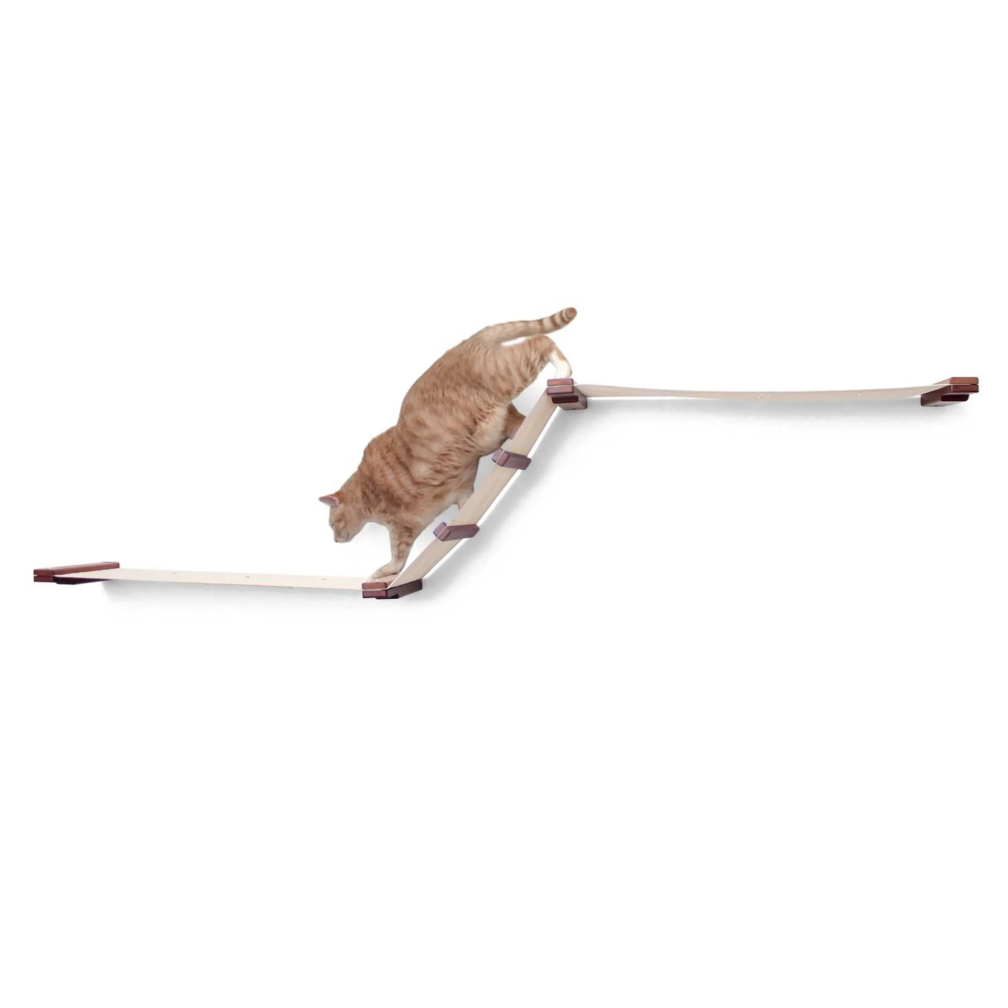 Raceway Hammock - Cat Wall Ramp