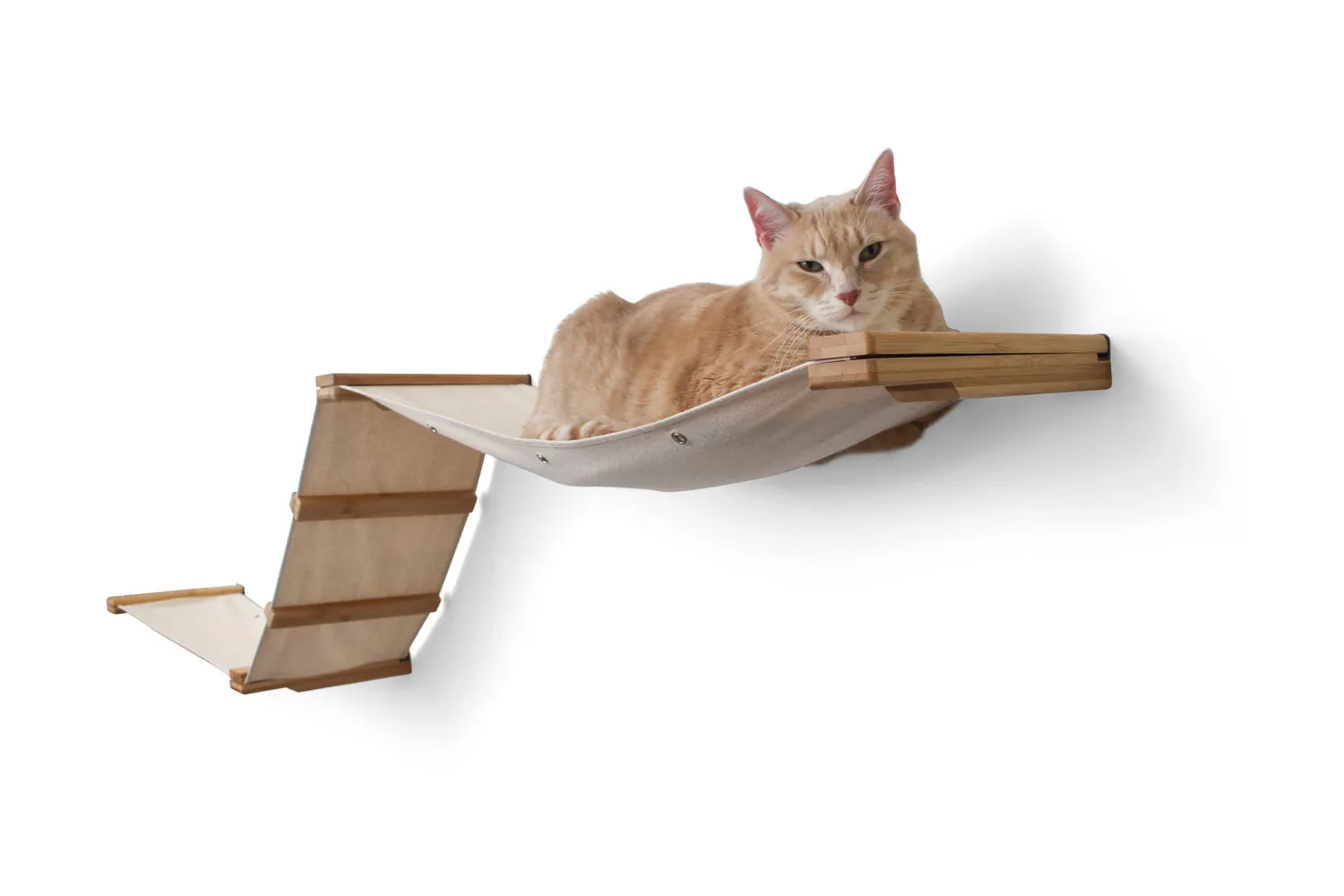 Raceway Hammock - Cat Wall Ramp