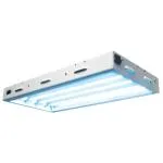 Sun Blaze T5 HO 24 - 2 ft 4 Lamp - 120 Volt