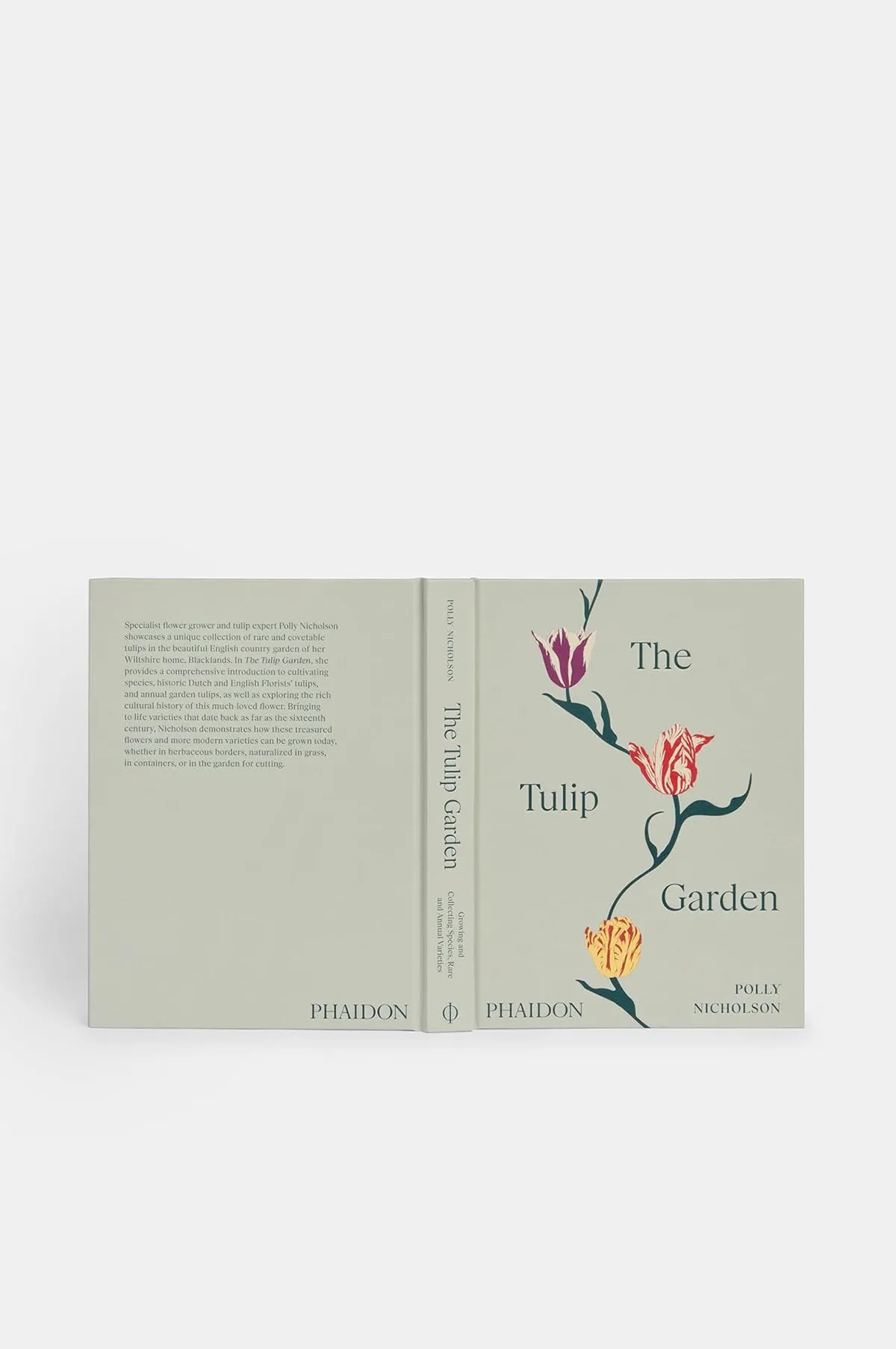 The Tulip Garden